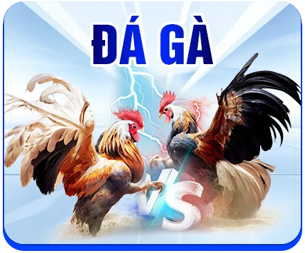 icon-da-ga-ev88